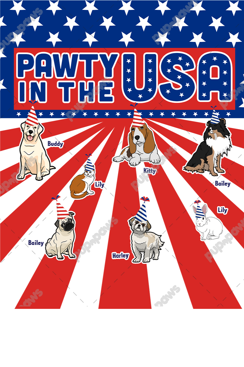 Party In The USA Pillow Cover With Pillow For Paw Parents