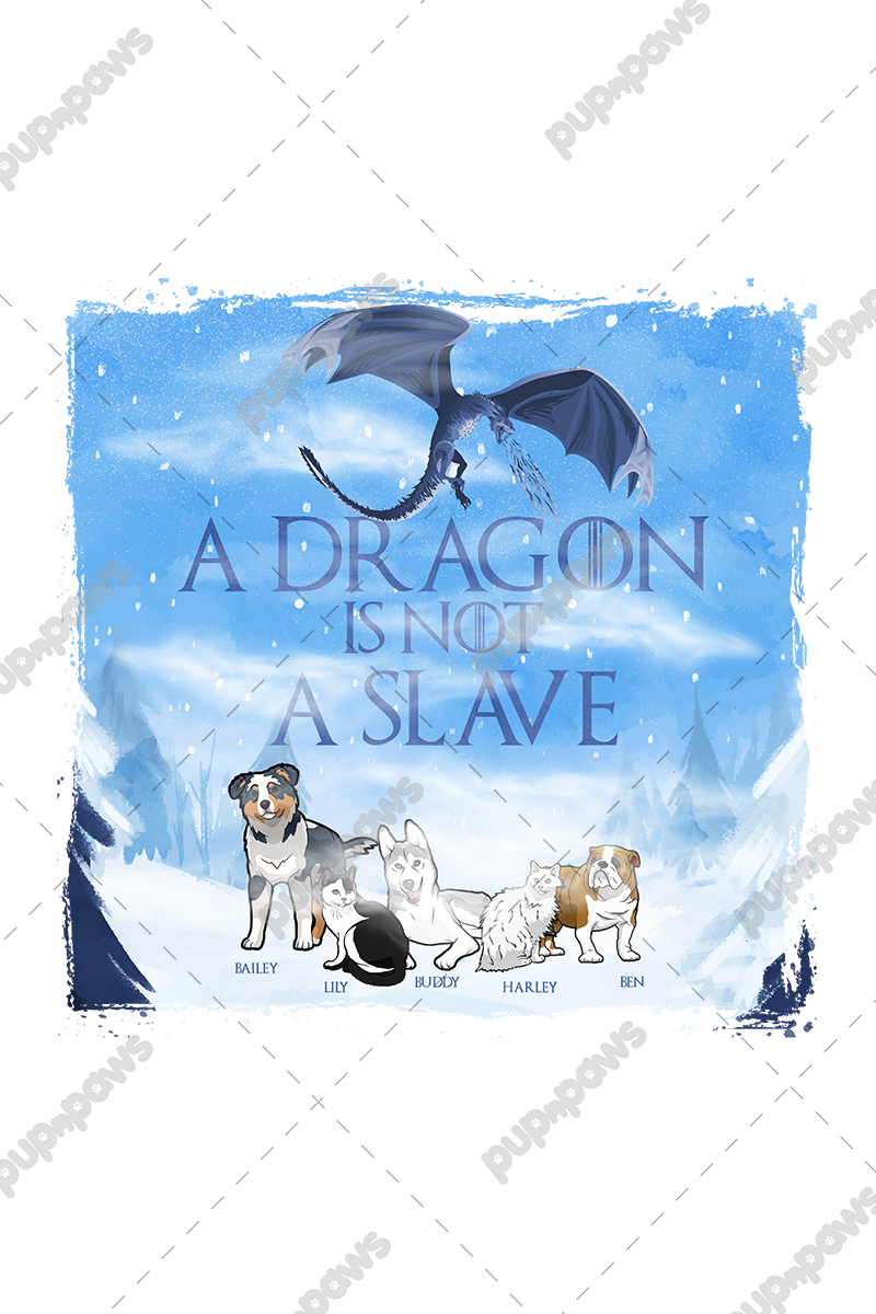 "A Dragon Is Not A Slave" Personalized Hoodie For Pet lovers