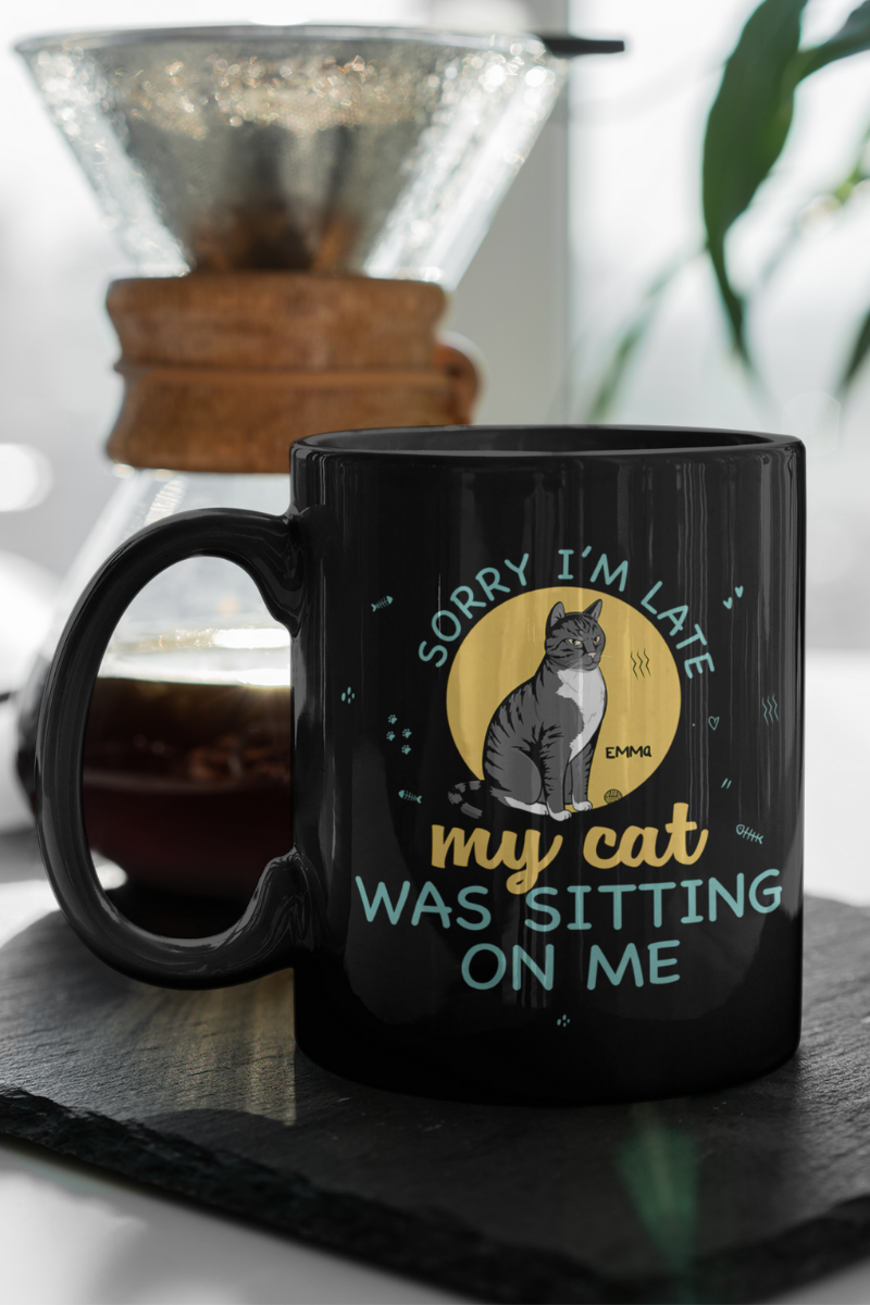 My Cat Was Sitting On Me Personalized Mug