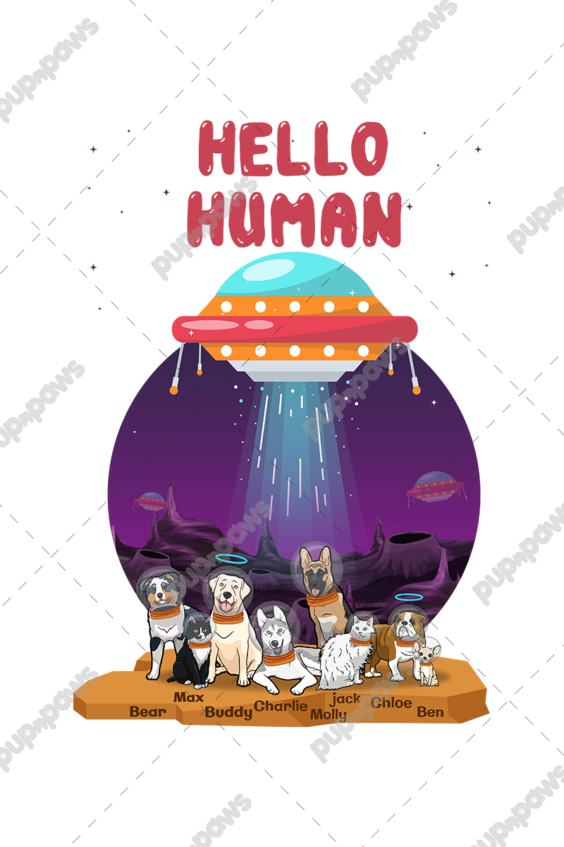 Hello Human Personalized Tee For Pet Lovers
