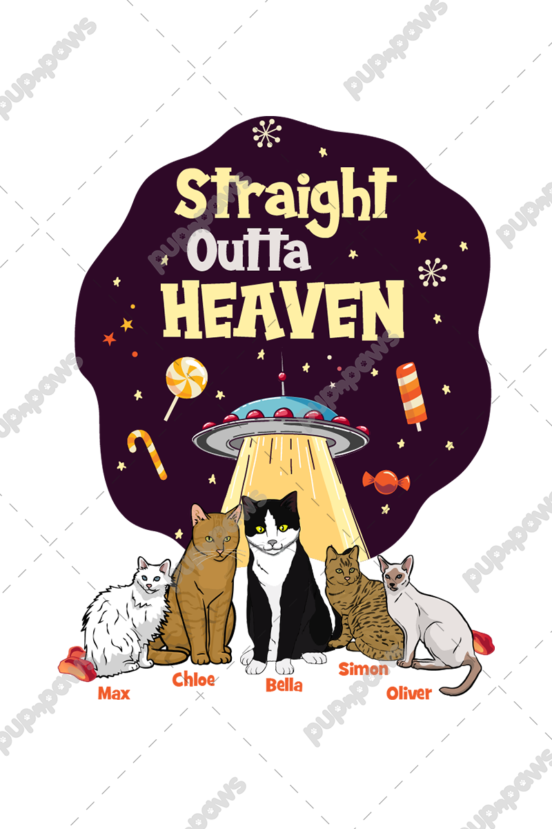 Straight Outta Heaven Travel Mug For Cat Lovers